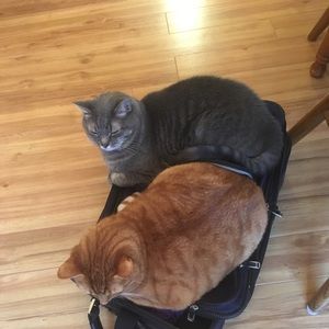 Meet your Posher, Tina